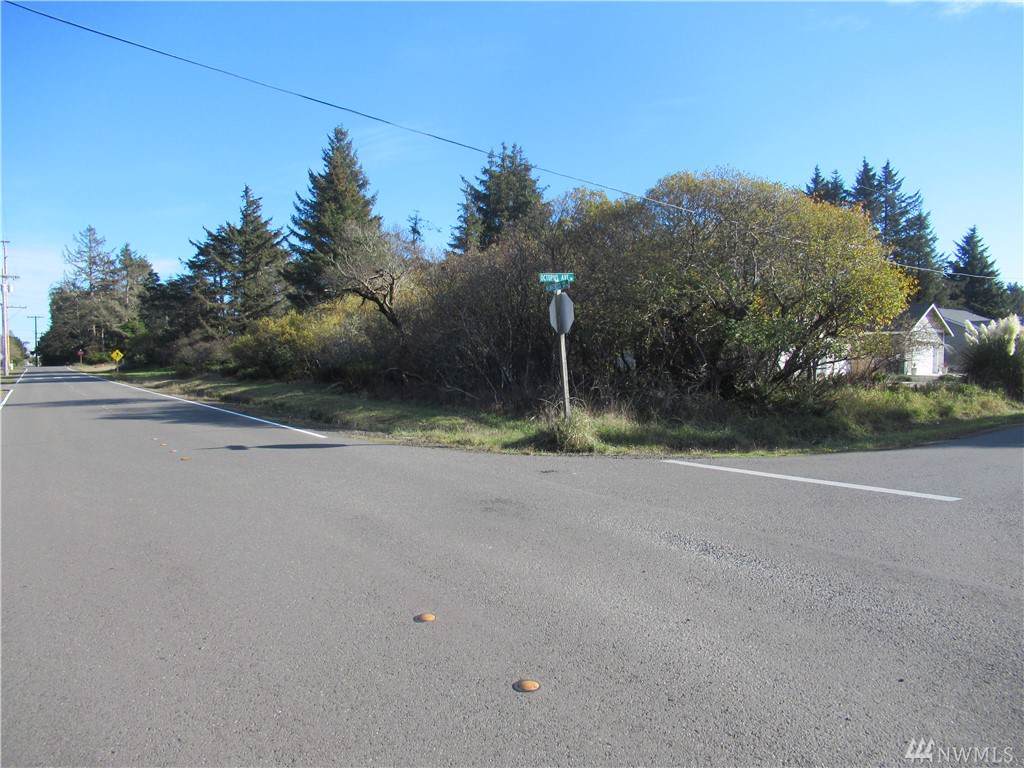 498 Octopus Ave - Photo 1