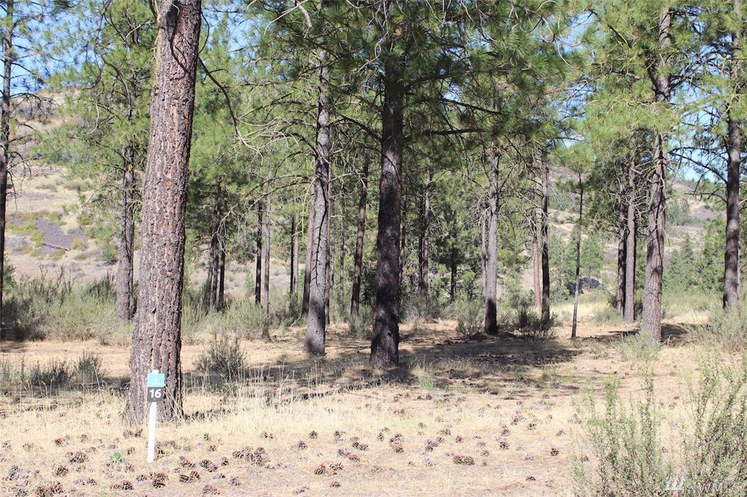 37875 Timber Lane - Photo 1