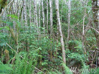 999 Calawah Way - Photo 1