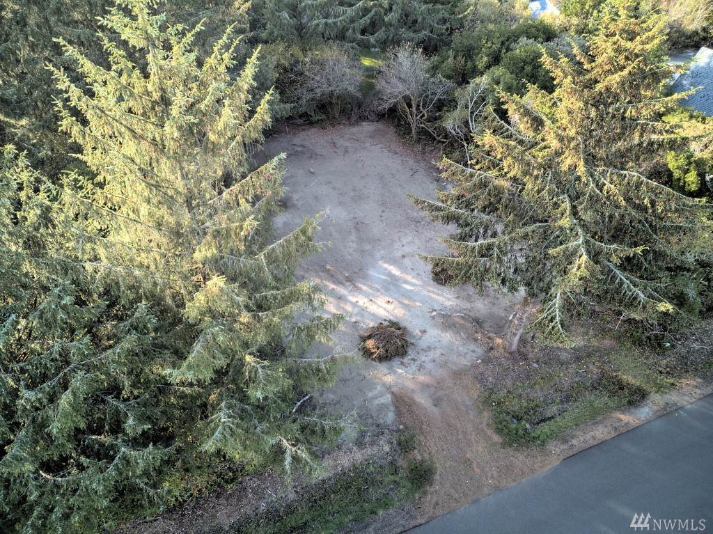 437 Centaurus Ave - Photo 1