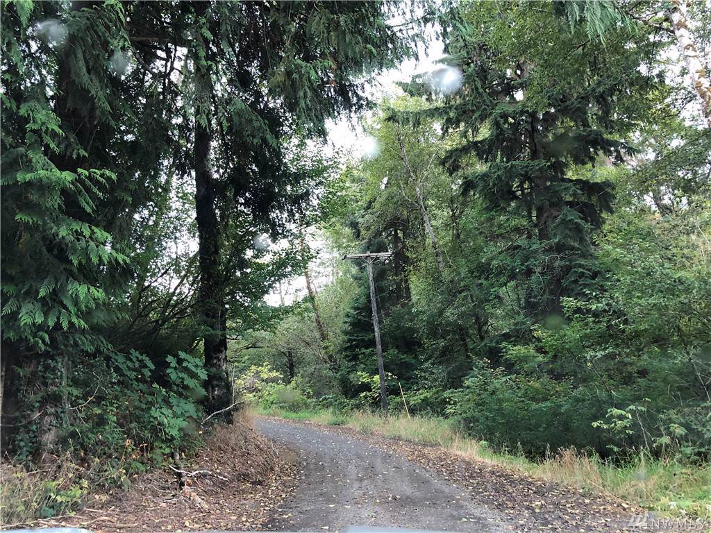 360 Mudgett Mountain Rd - Photo 1