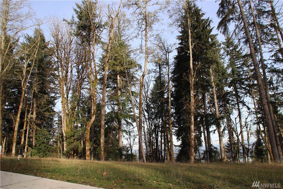 17845 Cougar Mountain Dr - Photo 1