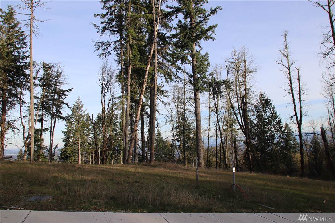 17845 Cougar Mountain Dr - Photo 1