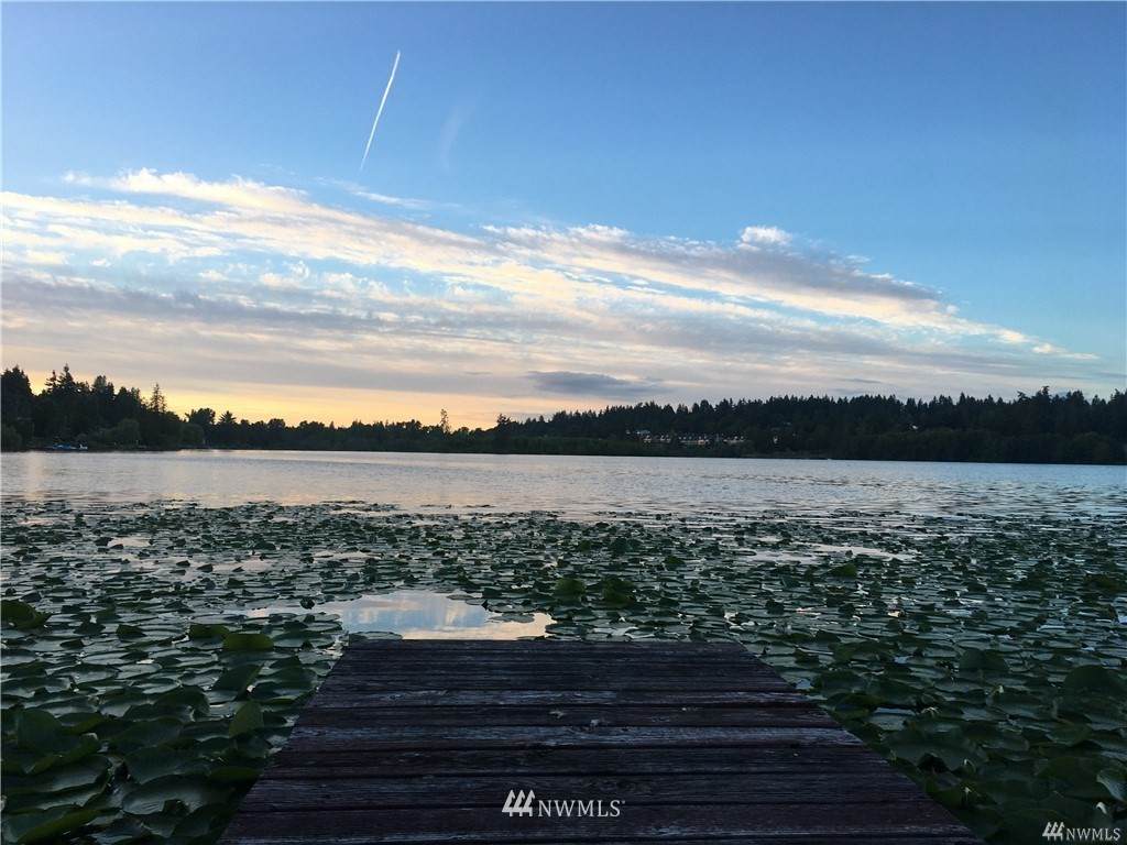 7317 Lake Ballinger Way - Photo 1