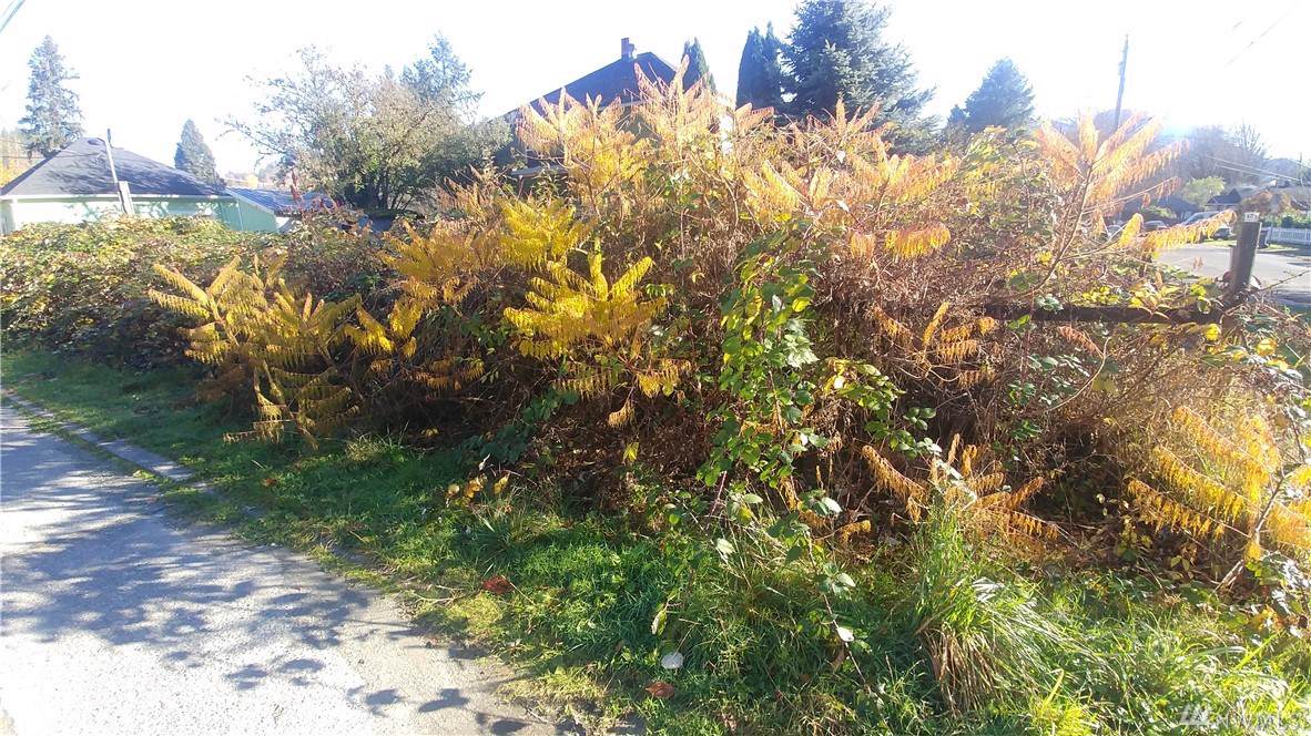 45873 Division St - Photo 1