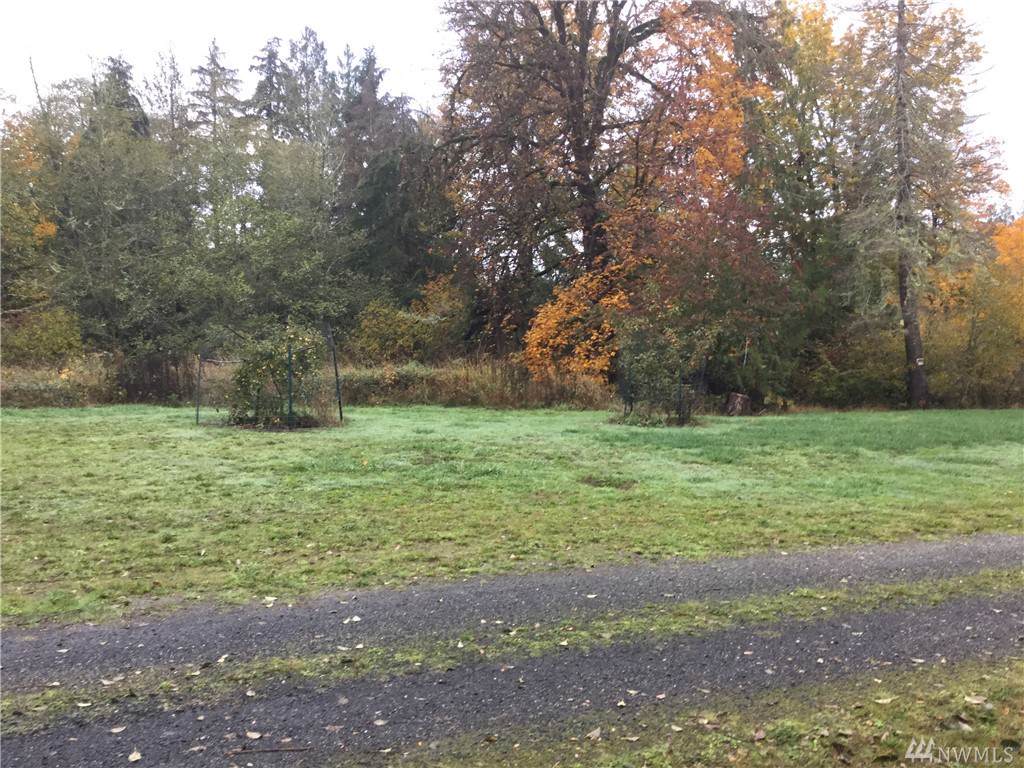 121 Blackbeards Run - Photo 1