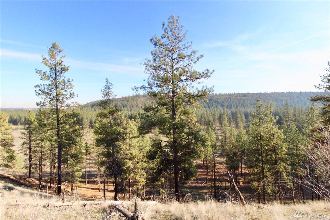 7820 Garfield Rd - Photo 1