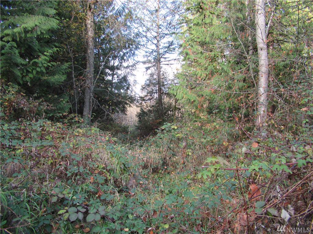 13119 74th St - Photo 1