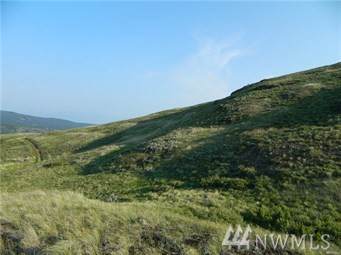 1111-TBD Havillah Rd - Photo 1
