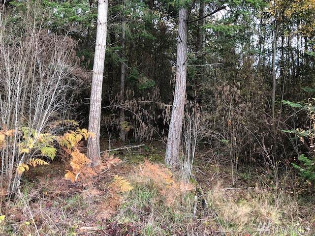 0-N Camano Ridge - Photo 1