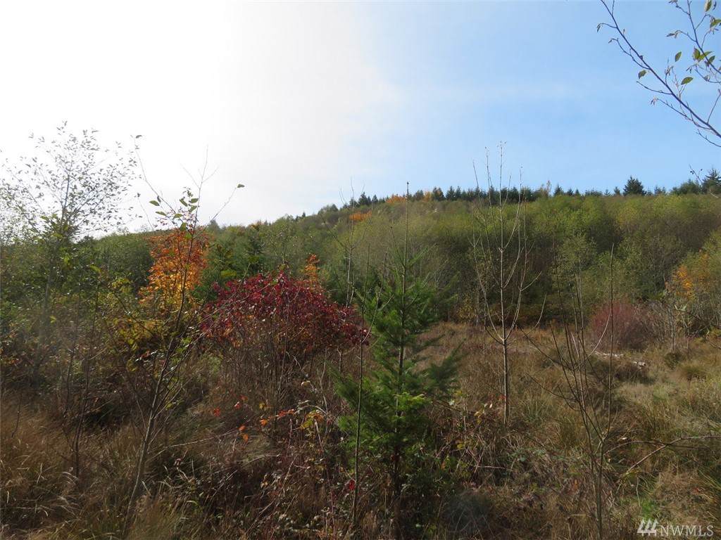 0-XXX Westshore Rd - Photo 1