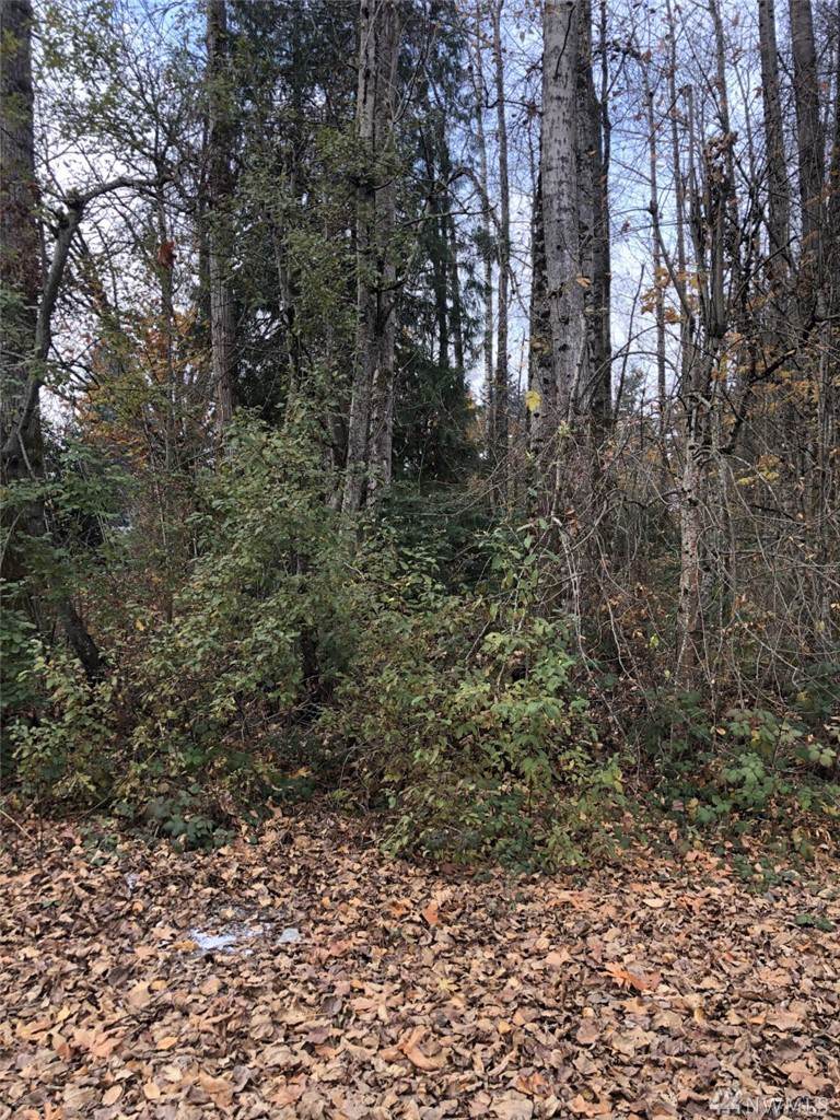 30537 55th Ave - Photo 1