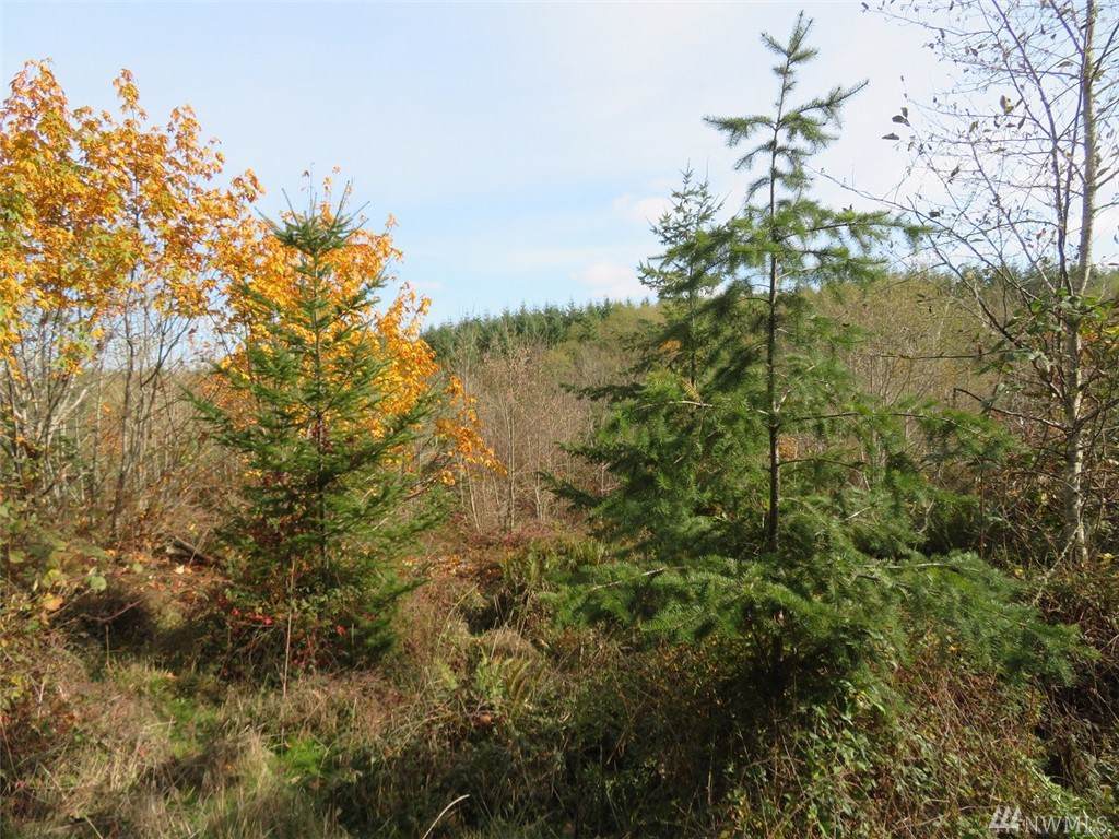 0-Lot 3 Westshore Rd - Photo 1