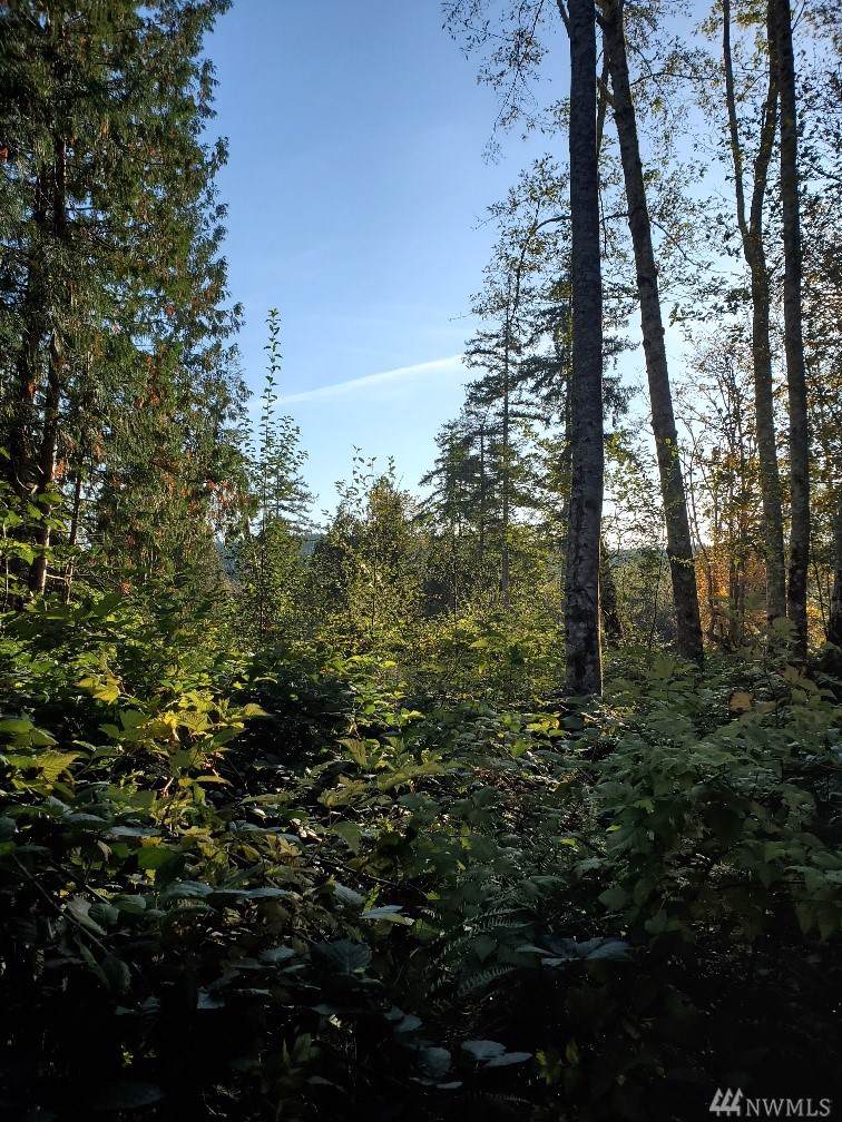 2-XXX Wilson Creek Rd - Photo 1