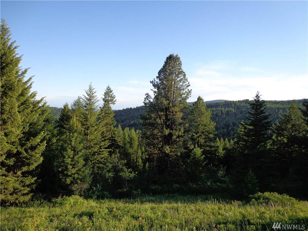 0-TBD Big Goosmus Creek Rd - Photo 1