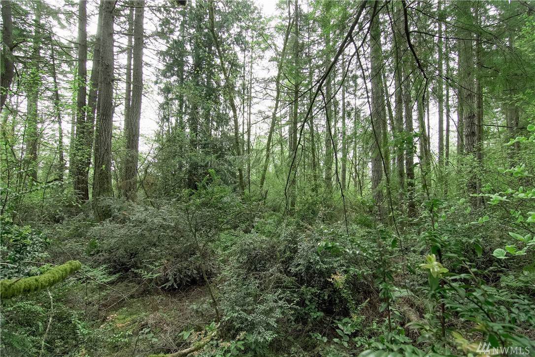 8-xx Pine Rd - Photo 1