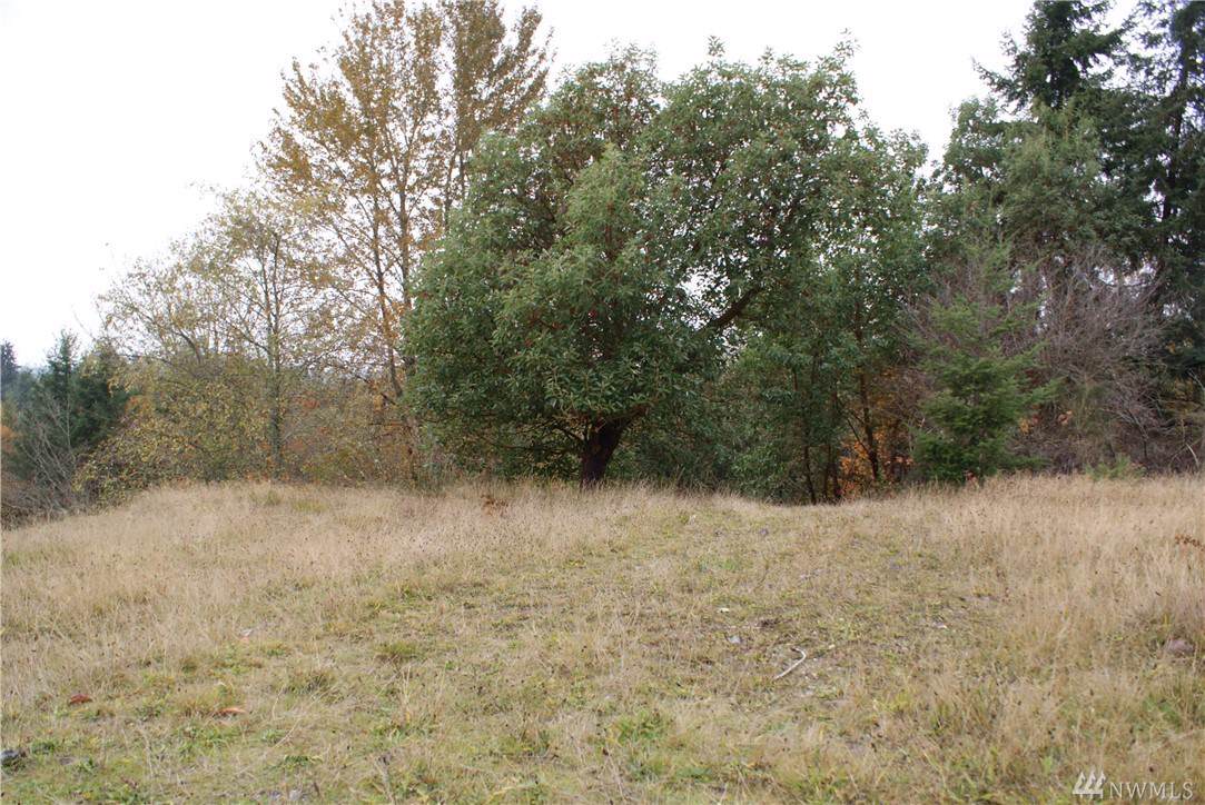3200 Narrows Dr - Photo 1