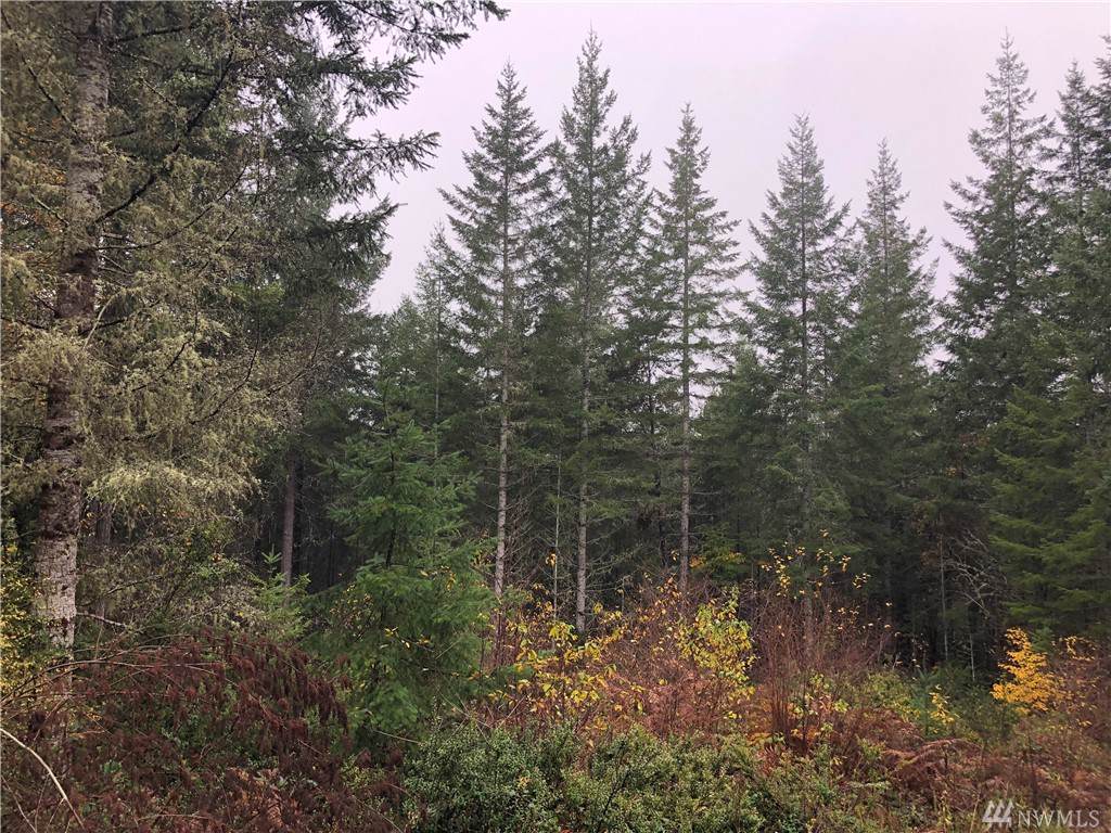 920 Soderberg Rd - Photo 1