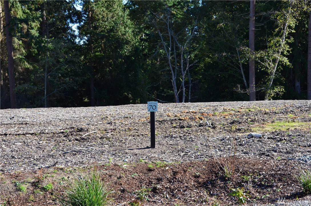 4654 Trail Crest Dr - Photo 1