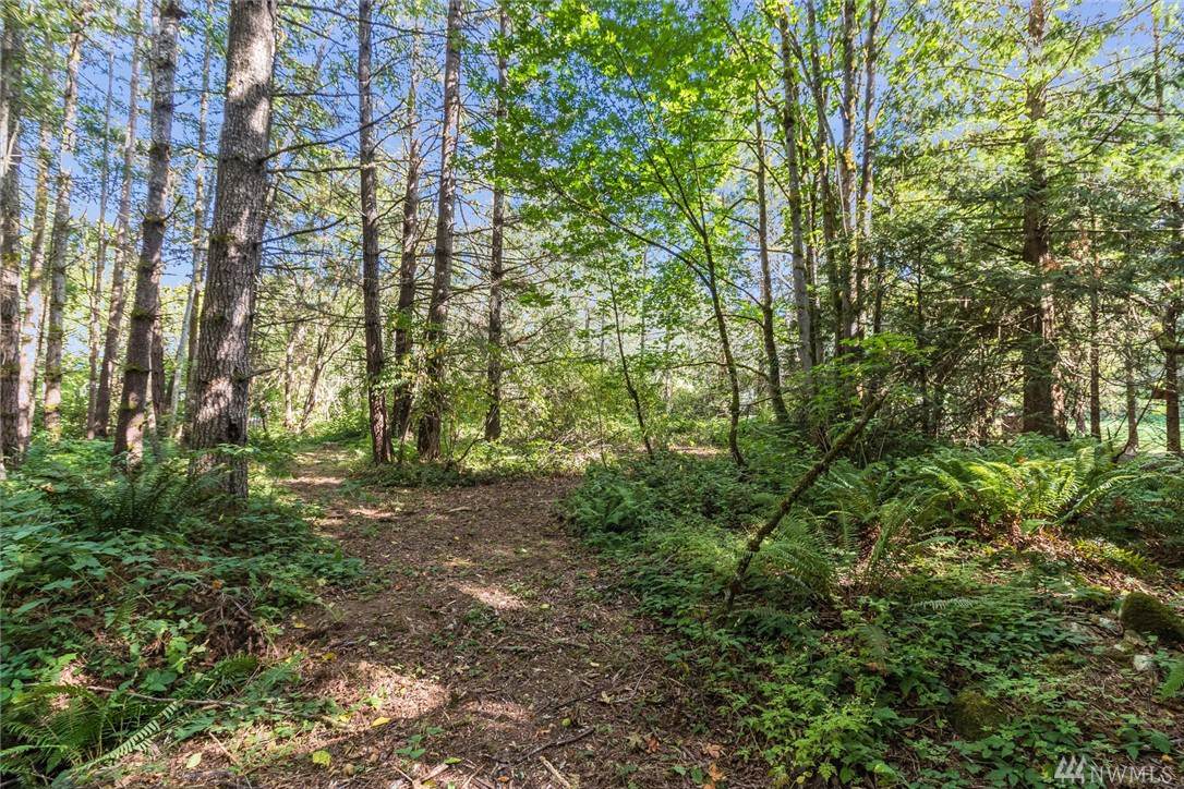 0-Lot B&C Miller Rd - Photo 1 0-Lot B&C Miller Rd - Photo 1