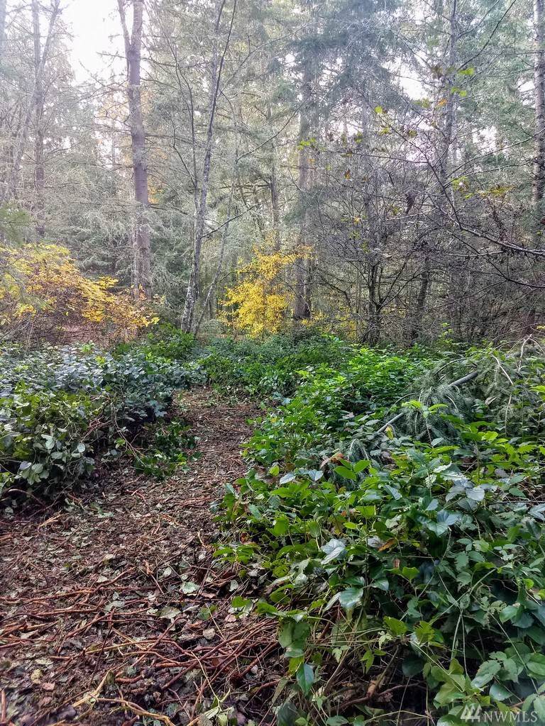 0-Lot B Bucsit Lane - Photo 1