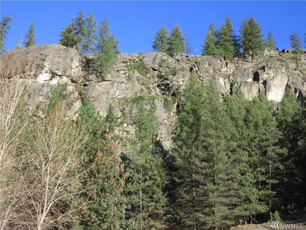 0-TBD Customs Rd - Photo 1