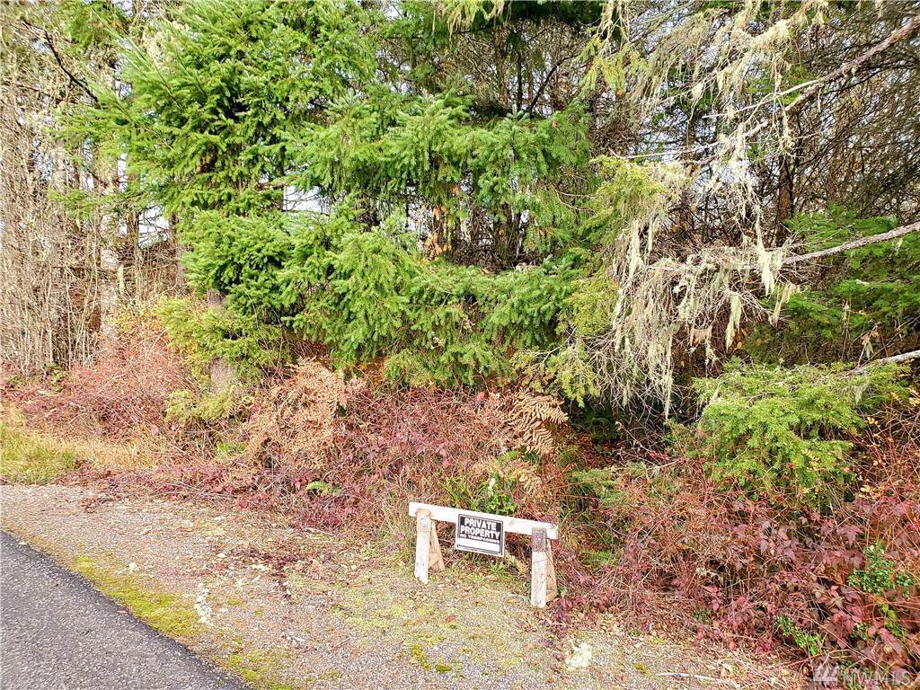 0 Xxx State Route 505 - Photo 1