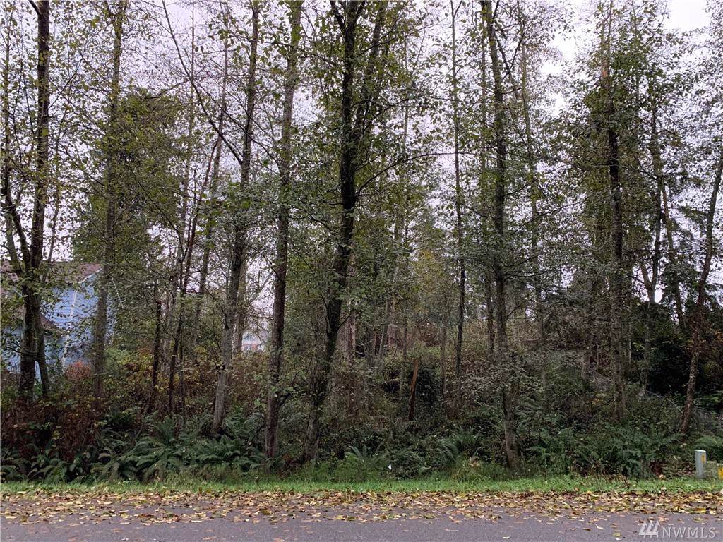 0-XXX Reindeer Rd - Photo 1