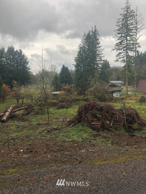 0 Chief Kiona Road - Photo 1