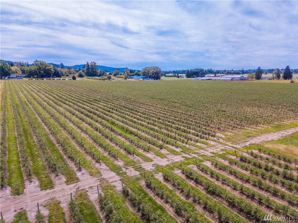 3247 Pass Rd - Photo 1