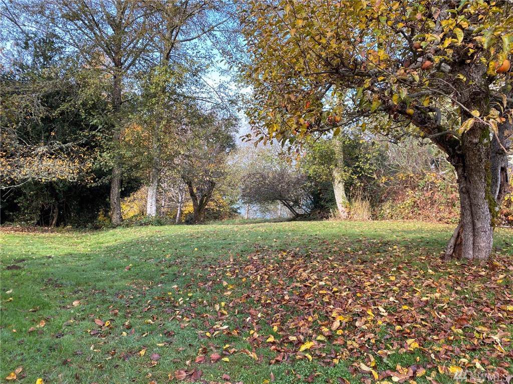 6037-Lot A Swayne Dr - Photo 1