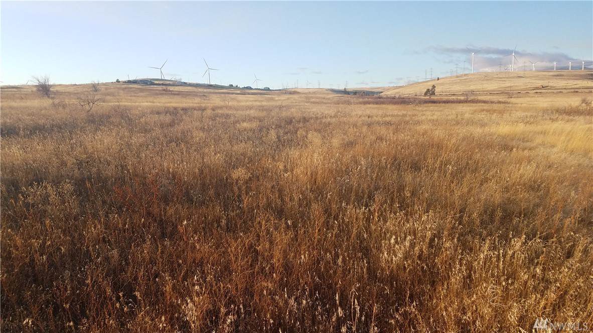 5 Lot 5A-2 Ellensburg Ranches - Photo 1