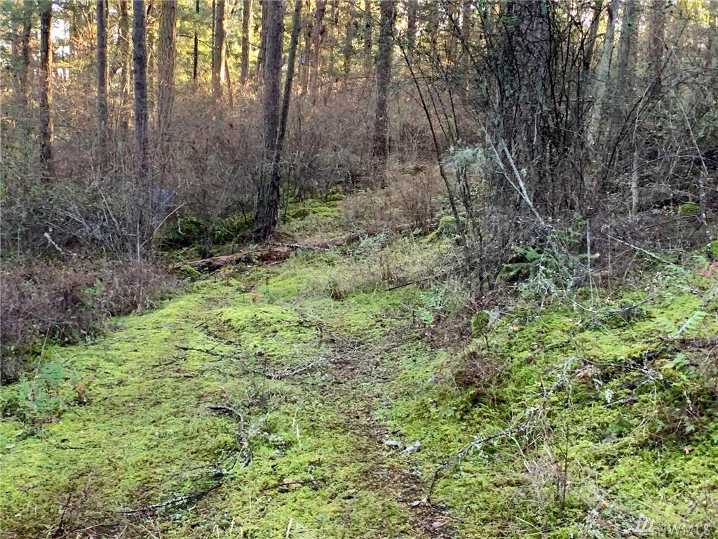 0 Roche Harbor Rd - Photo 1