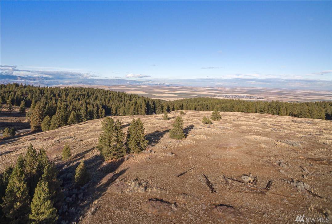 0 Badger Mountain Rd - Photo 1