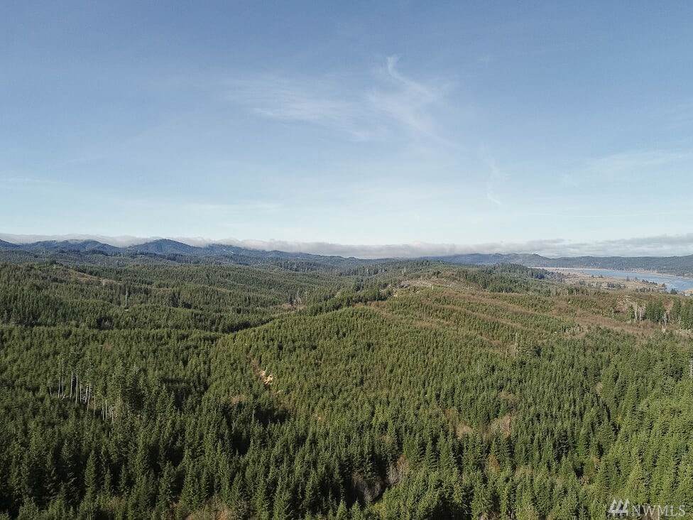 0 Parpala Rd - Photo 1