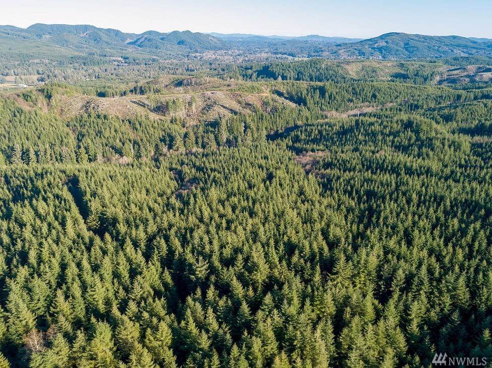 2 Dell Creek Mainline - Photo 1