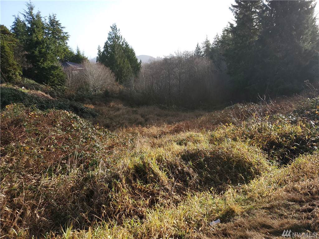 0-SECorner Tolomi & Bel Aire - Photo 1