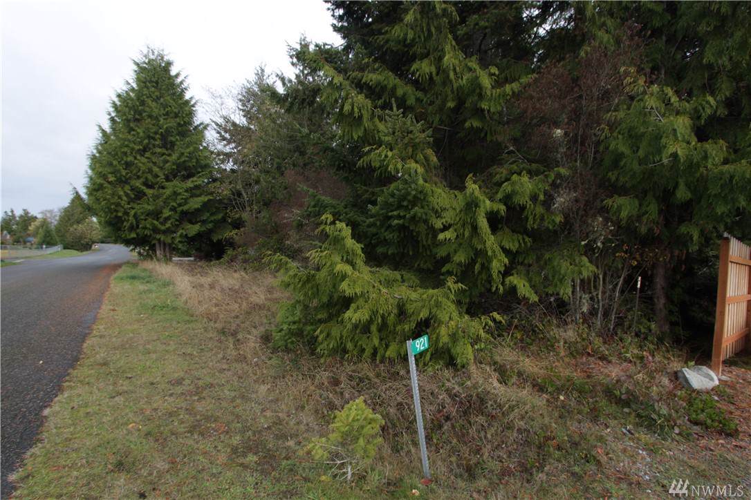 0 Madrona Wy - Photo 1