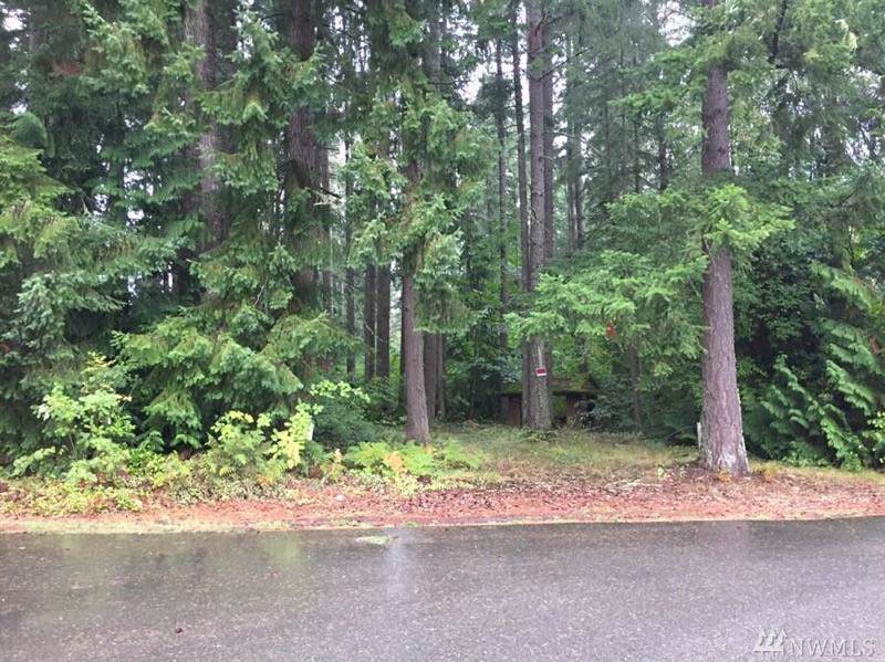 17519 Loop Lane - Photo 1