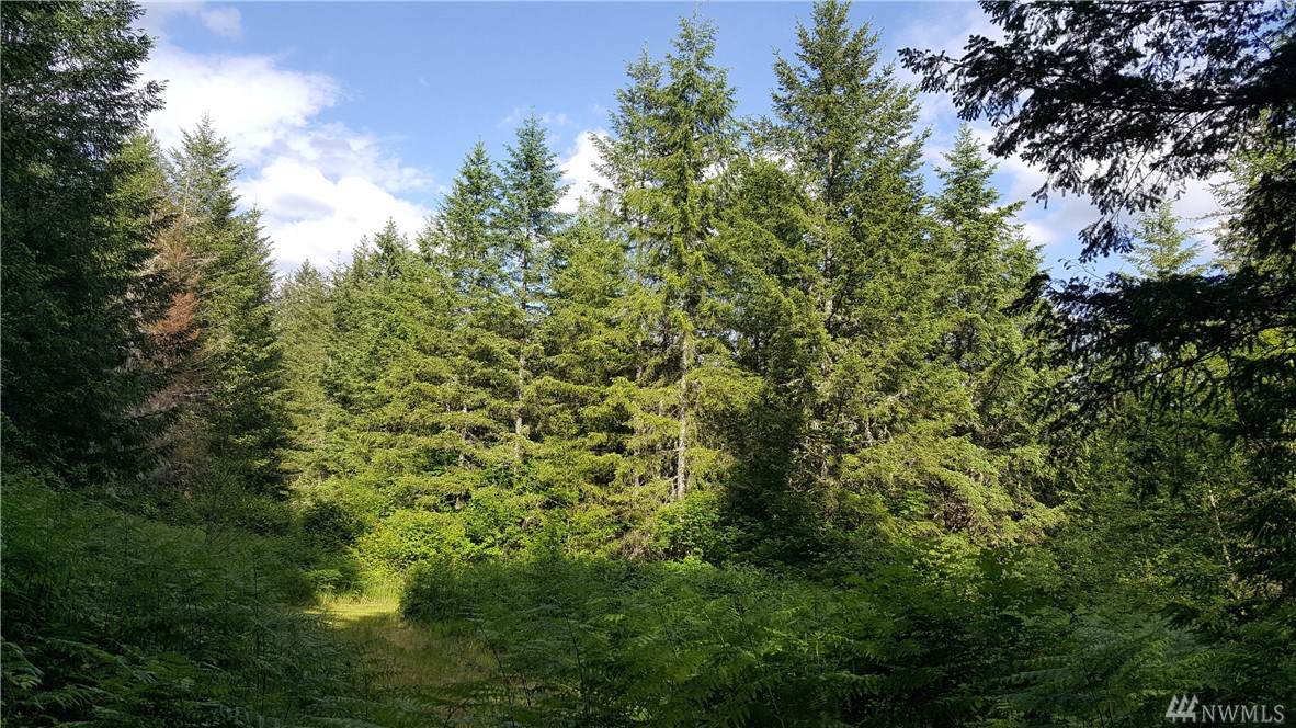 306-XX 290th (Lot B) Ave - Photo 1