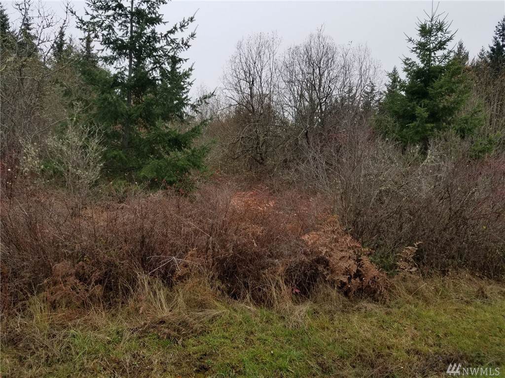 0-Lot 41 Durr Rd - Photo 1