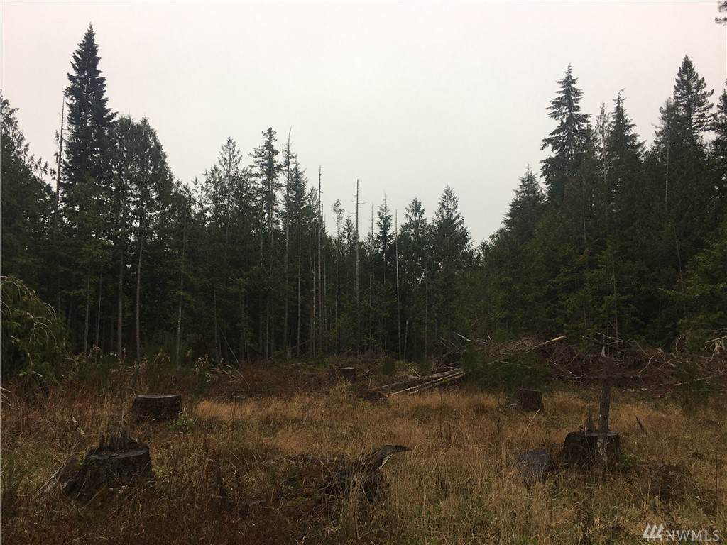 0 Shelton Matlock Rd - Photo 1