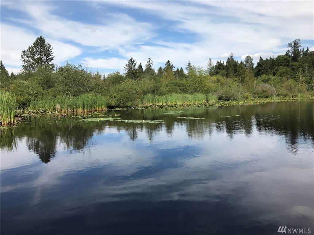 17307 Lake Desire Dr - Photo 1