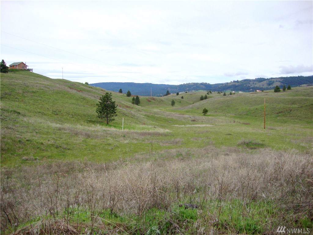 0-Lot 3 Elizabeth View Lane - Photo 1
