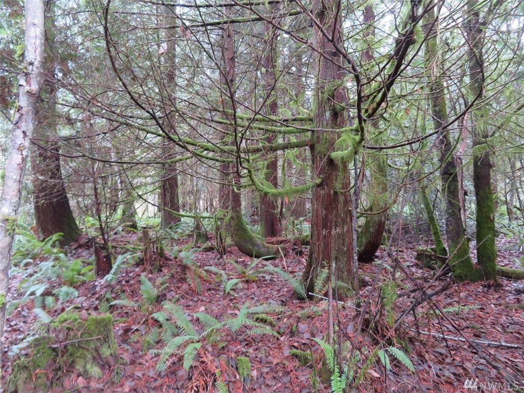 0-Off Cousins Rd - Photo 1