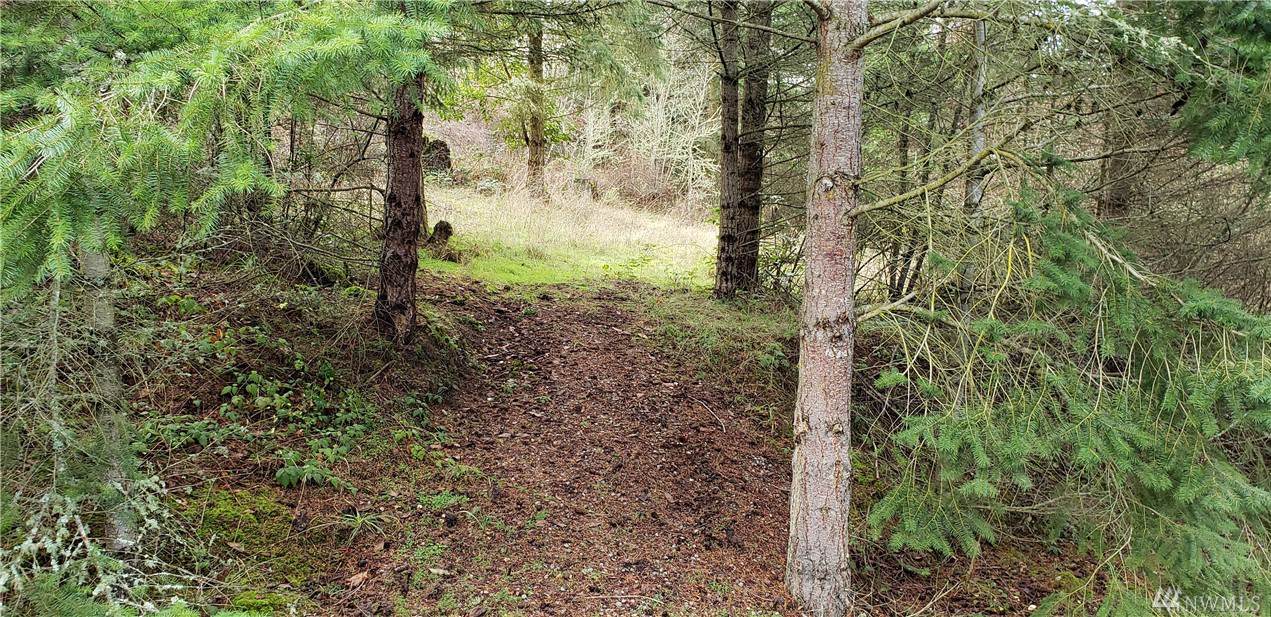 20-Lot Alderwood Drive - Photo 1