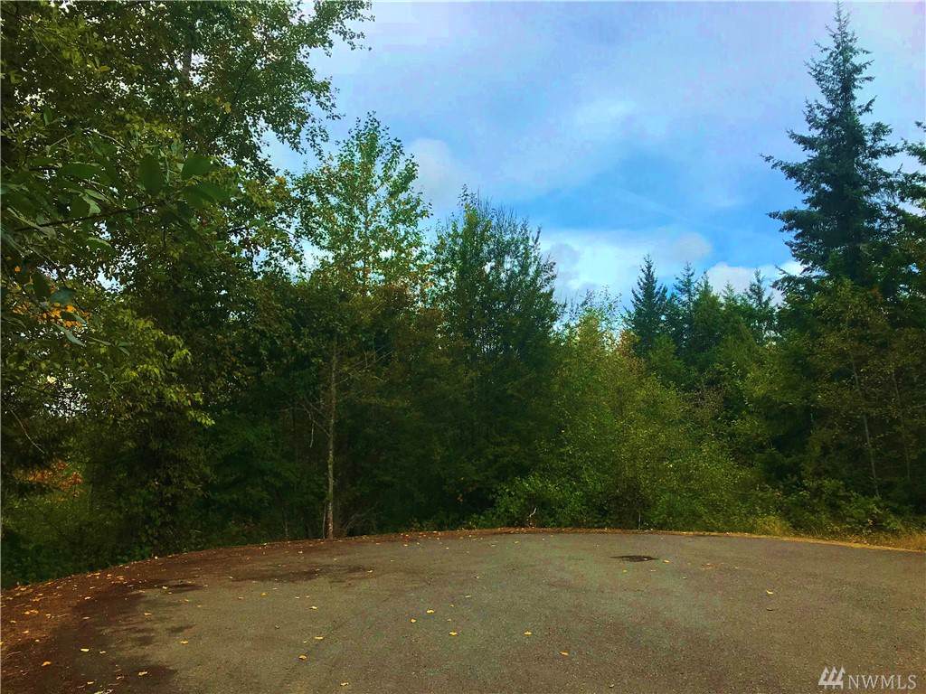 0 Tri Mountain Lane - Photo 1