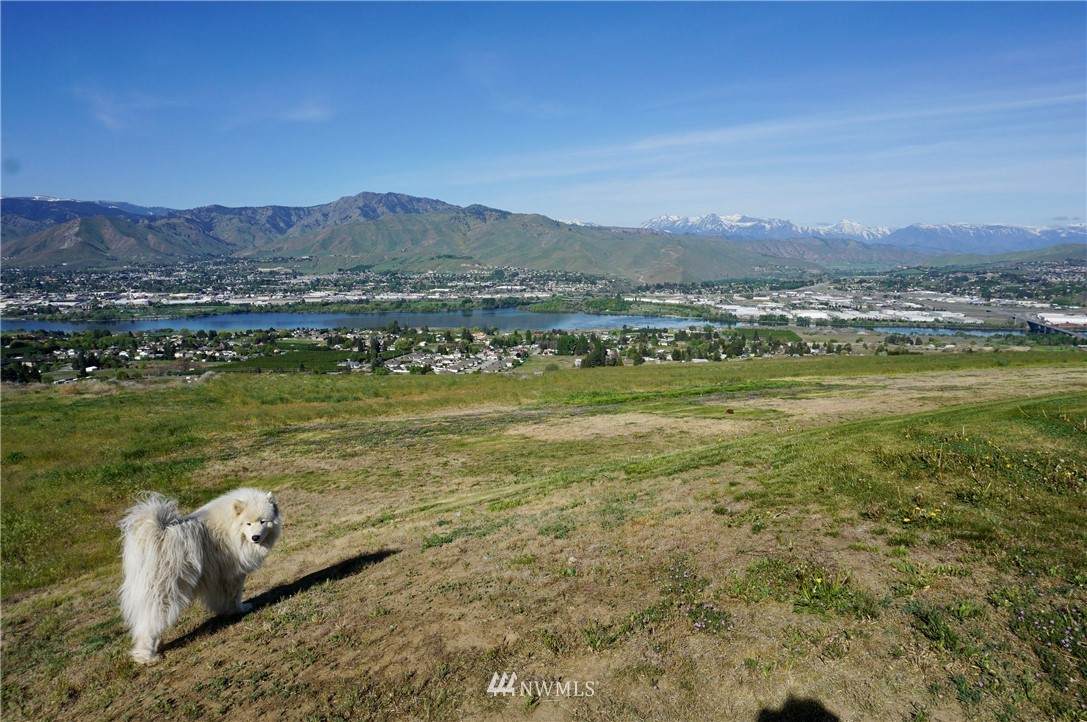 0 Cougar Ridge Road - Photo 1