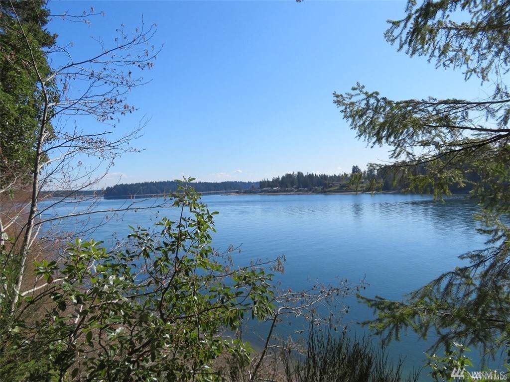 0 Benson Loop Rd - Photo 1