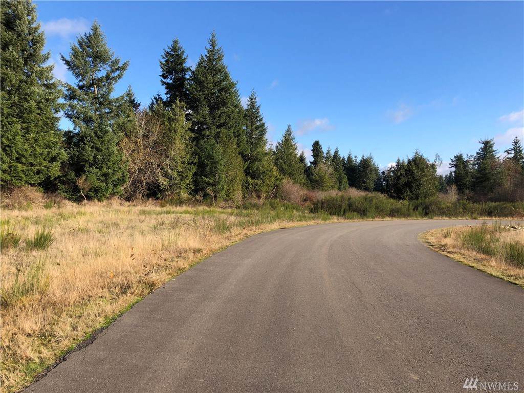 14617 Lindsay Loop - Photo 1